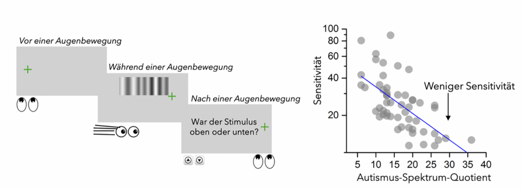 Versuchsaufbau