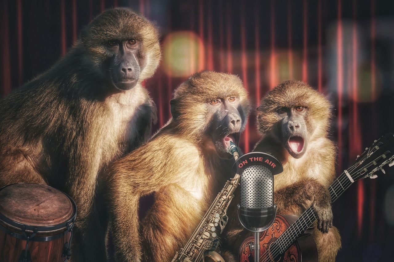 Ist Musik älter als die Menschheit? –Schimpansen trommeln rhythmisch