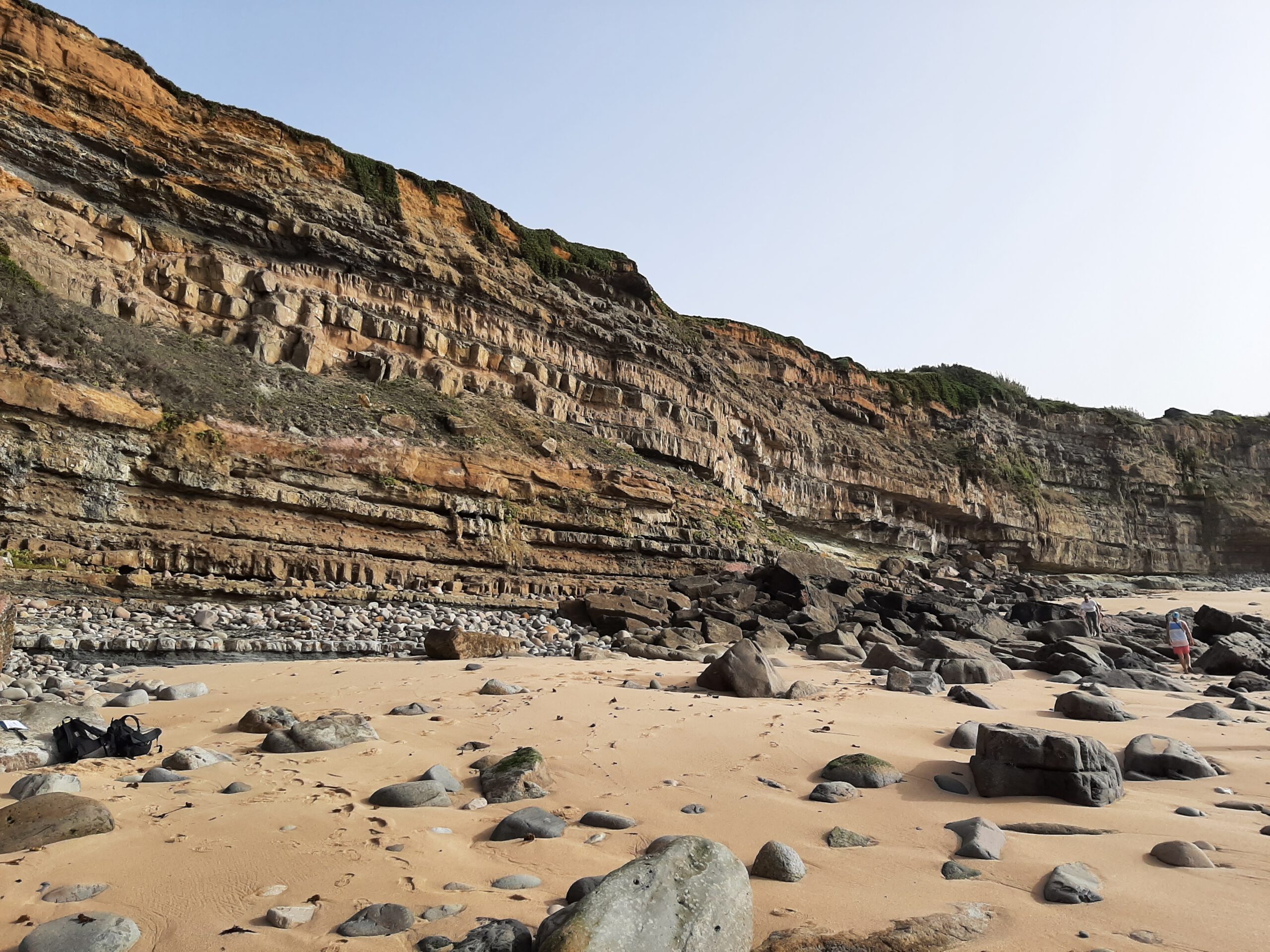 Seit 123 Millionen Jahren blüht es auf der Erde