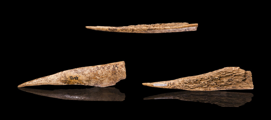 Knochen als Nähnadeln verwendet, Wikipedia Commons, Autor Didier Descouens
Paläolitikum, ca. 40.000 Jahre vor unserer Zeit, Museum Toulouse, Frankreich