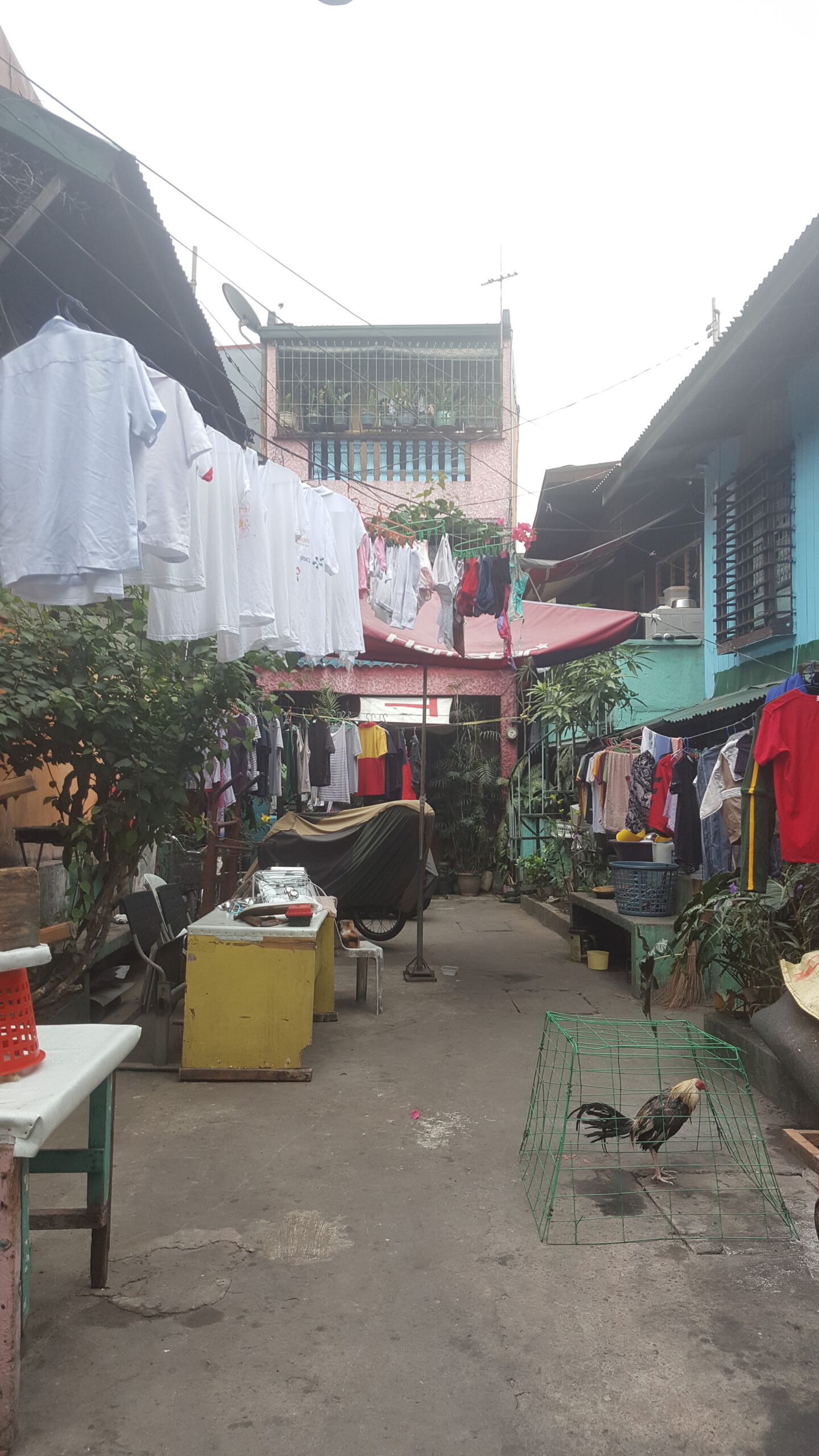 Feine Unterschiede in der Sprachentwicklung