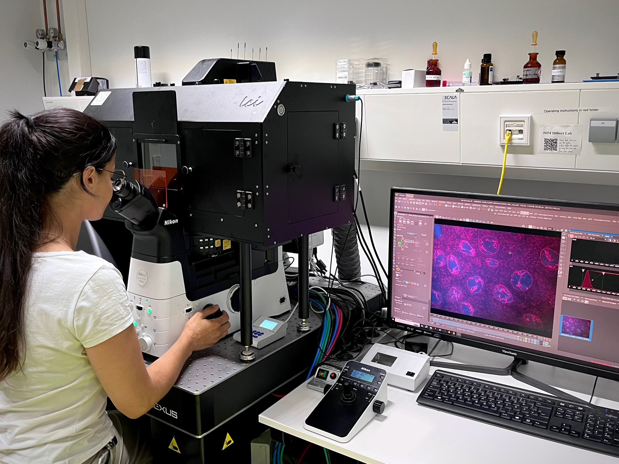 Zellkern als Vorbild für DNA-basierte Computerchips