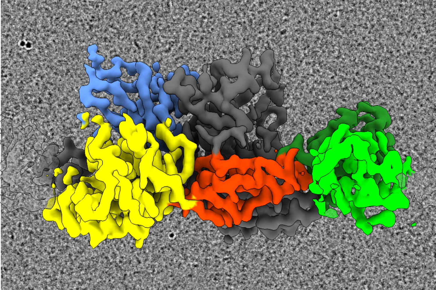 Wie Synapsen zusammenhalten und was sie hemmt
