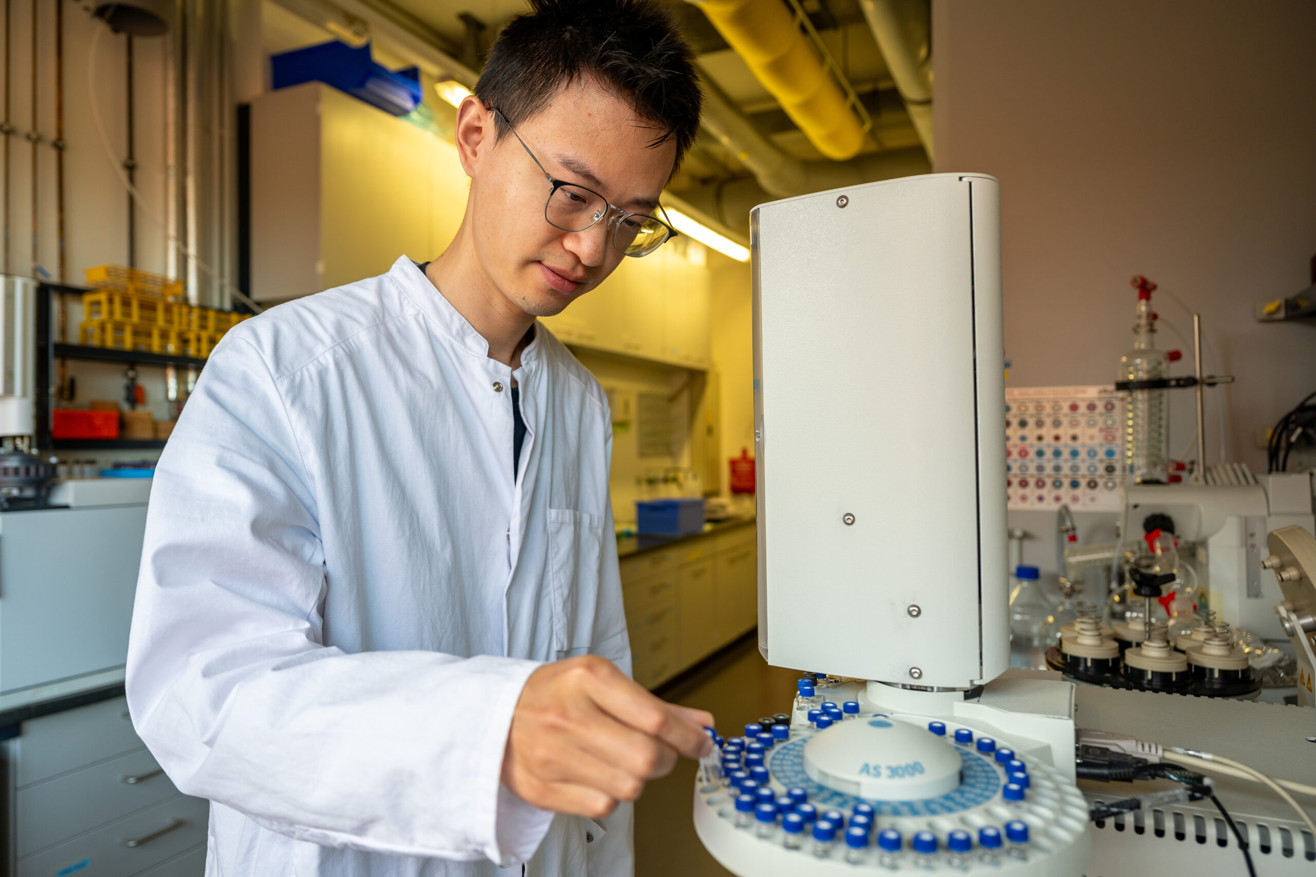 Die tiefe Wurzel des Anthropozäns