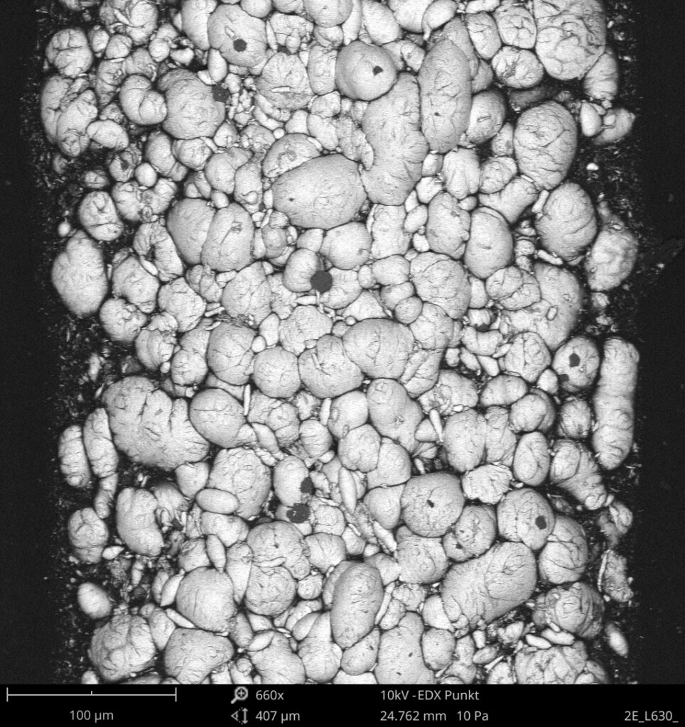 Mikroskopische Untersuchungen zeigen deutlich sichtbare Galinstan-Tropfen, die von einem dünnen TPU-Film umhüllt sind. Die resultierenden Strukturen sind gegenüber leichten Berührungen stabil.
Quelle: Lukas Werft, Copyright: Fraunhofer IZM