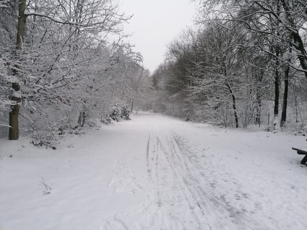 Winterlandschaft Remscheid