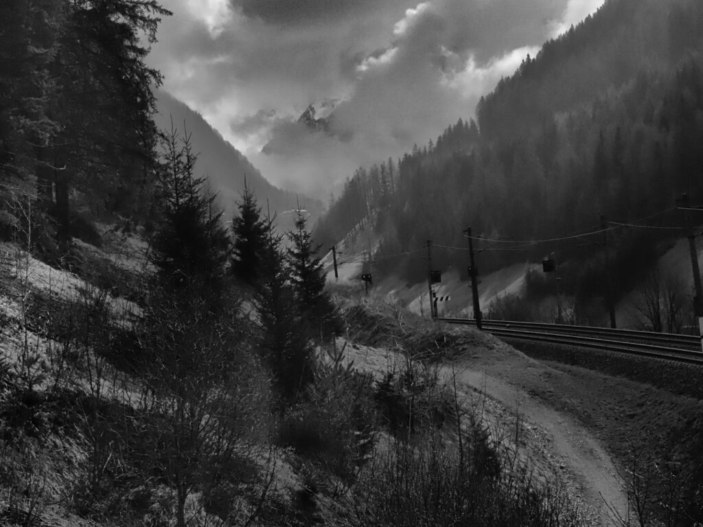 Bild Schwarz weis, Neblich, Gebirge, Bäume, Schinen