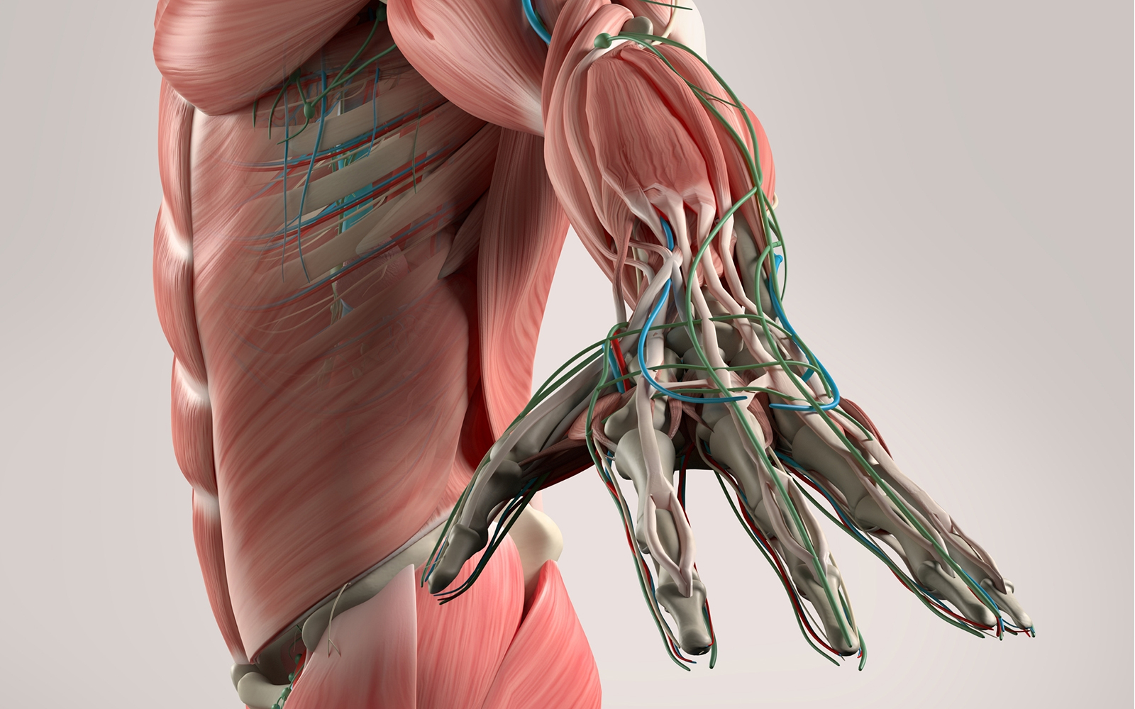 Faservlies soll gelähmte Muskeln elektrisch stimulieren