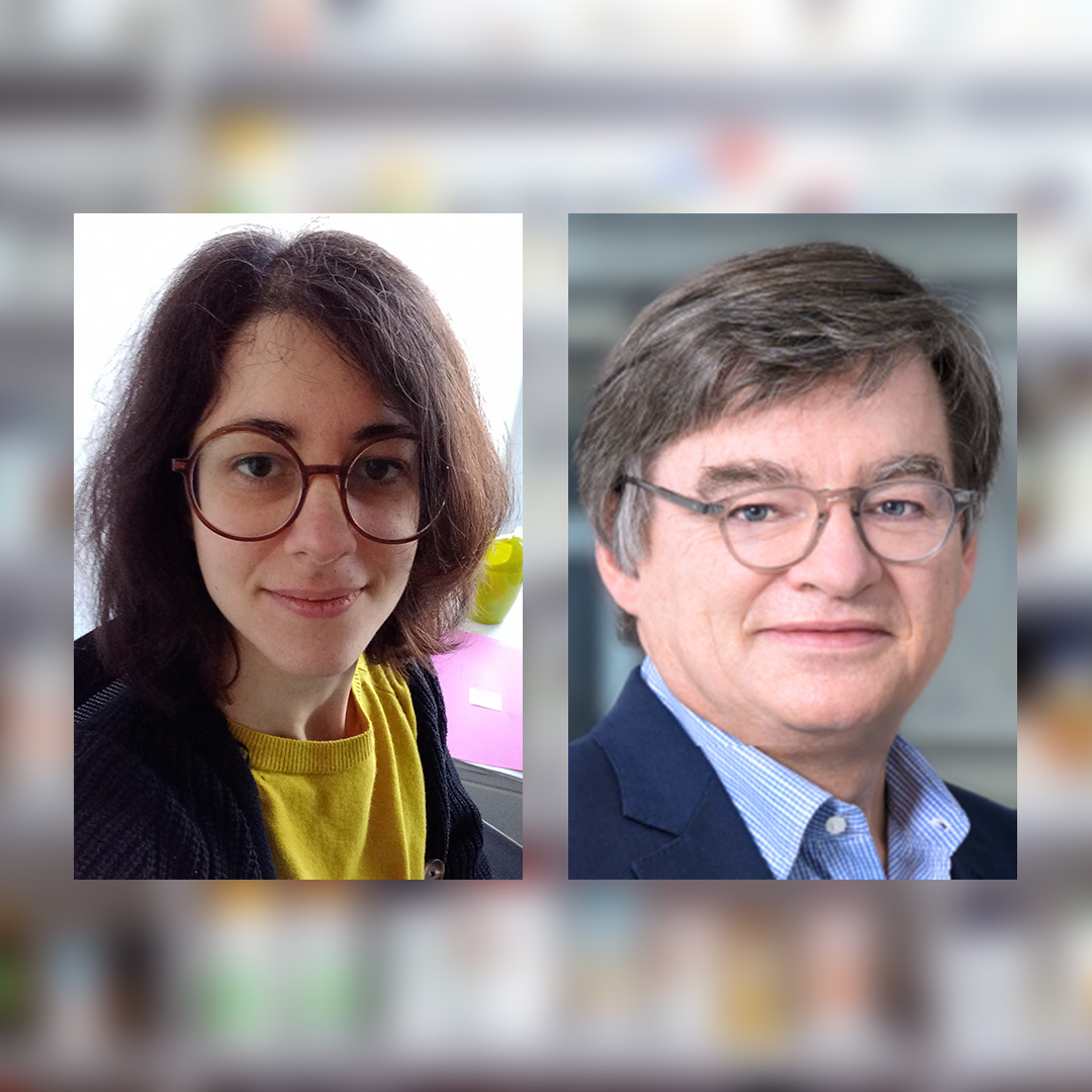 Komplexe Systeme besser verstehen