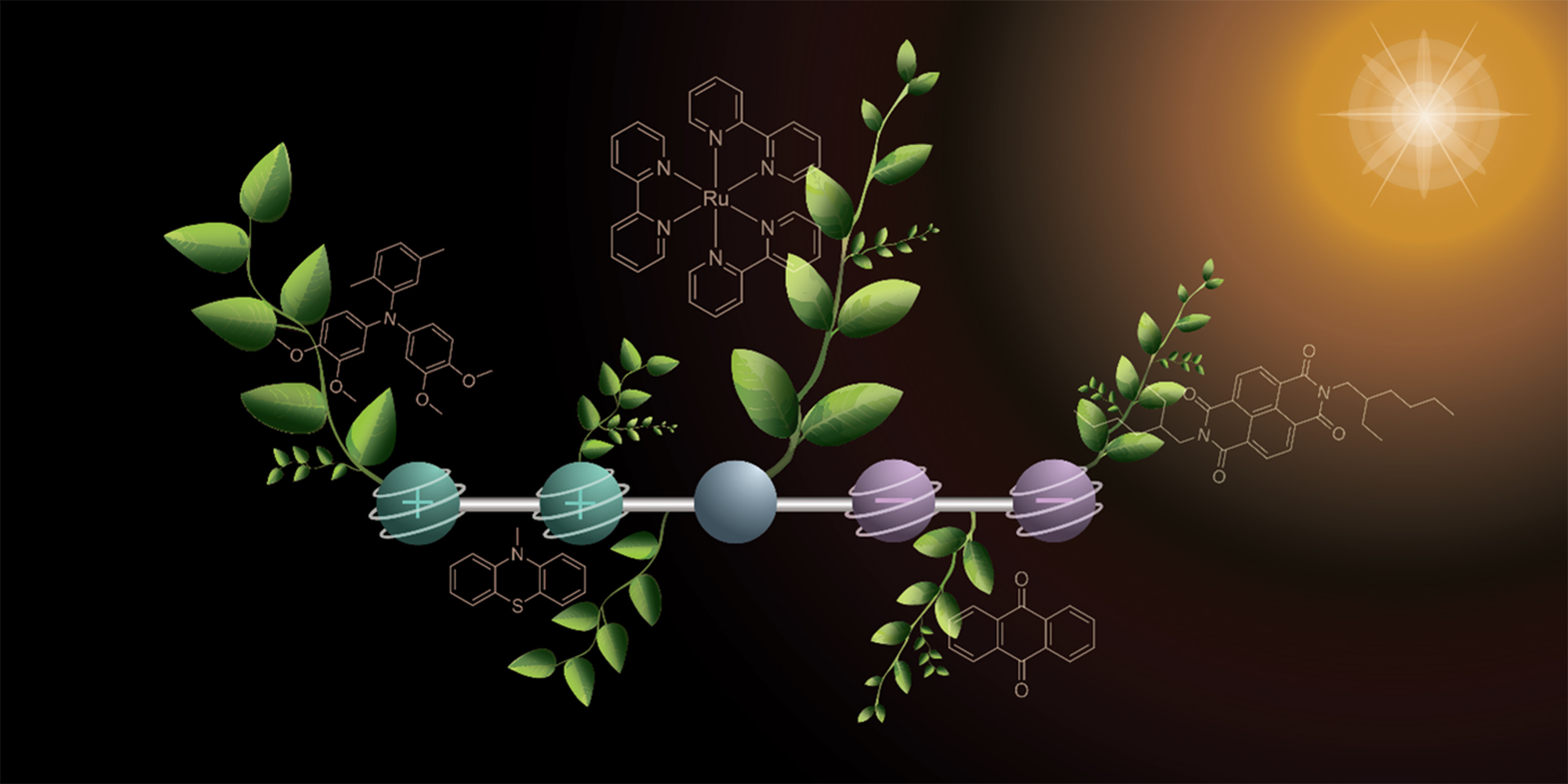 Chemiker entwickeln Molekül für wichtigen Schritt hin zu künstlicher Fotosynthese