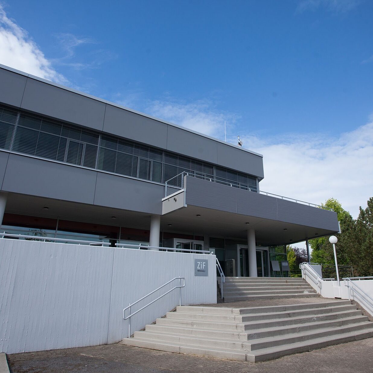 Wie Menschen, Tiere und Maschinen klug entscheiden können