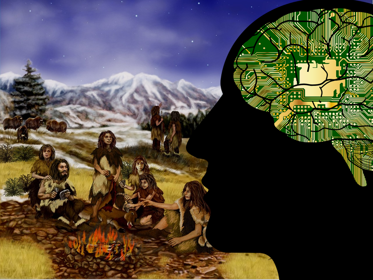 Der wissende Mensch – Homo Sapiens