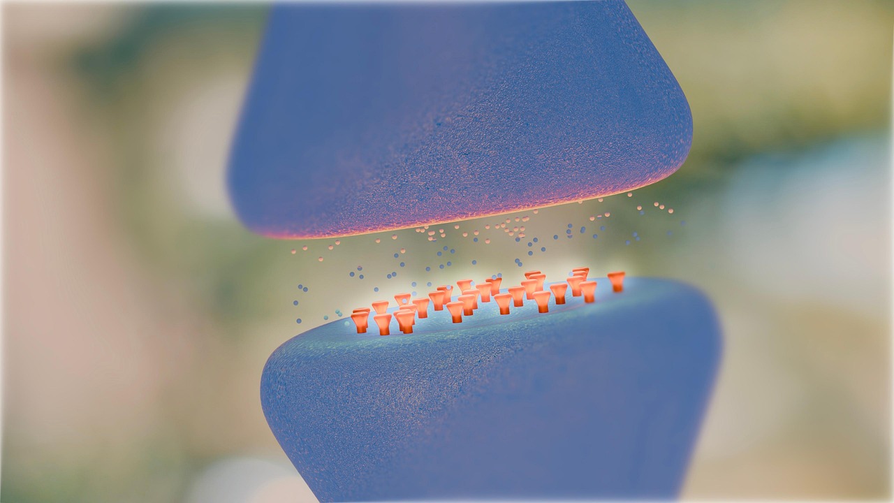 Soziales Verhalten unter körperlicher Belastung