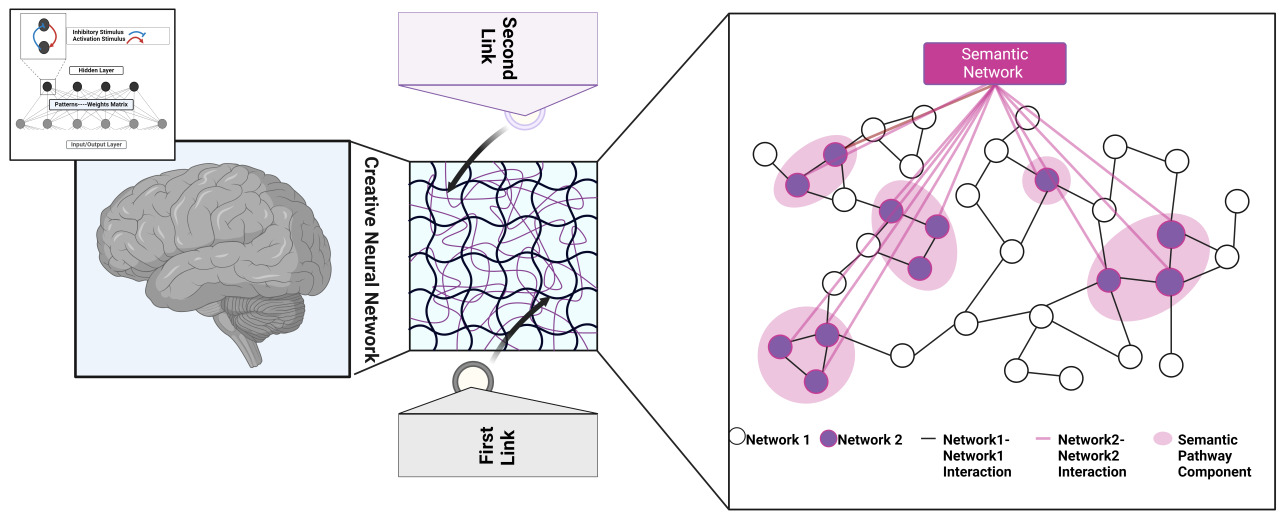 Forschende der Constructor University beleuchten kreatives Denken in einer neuen Studie