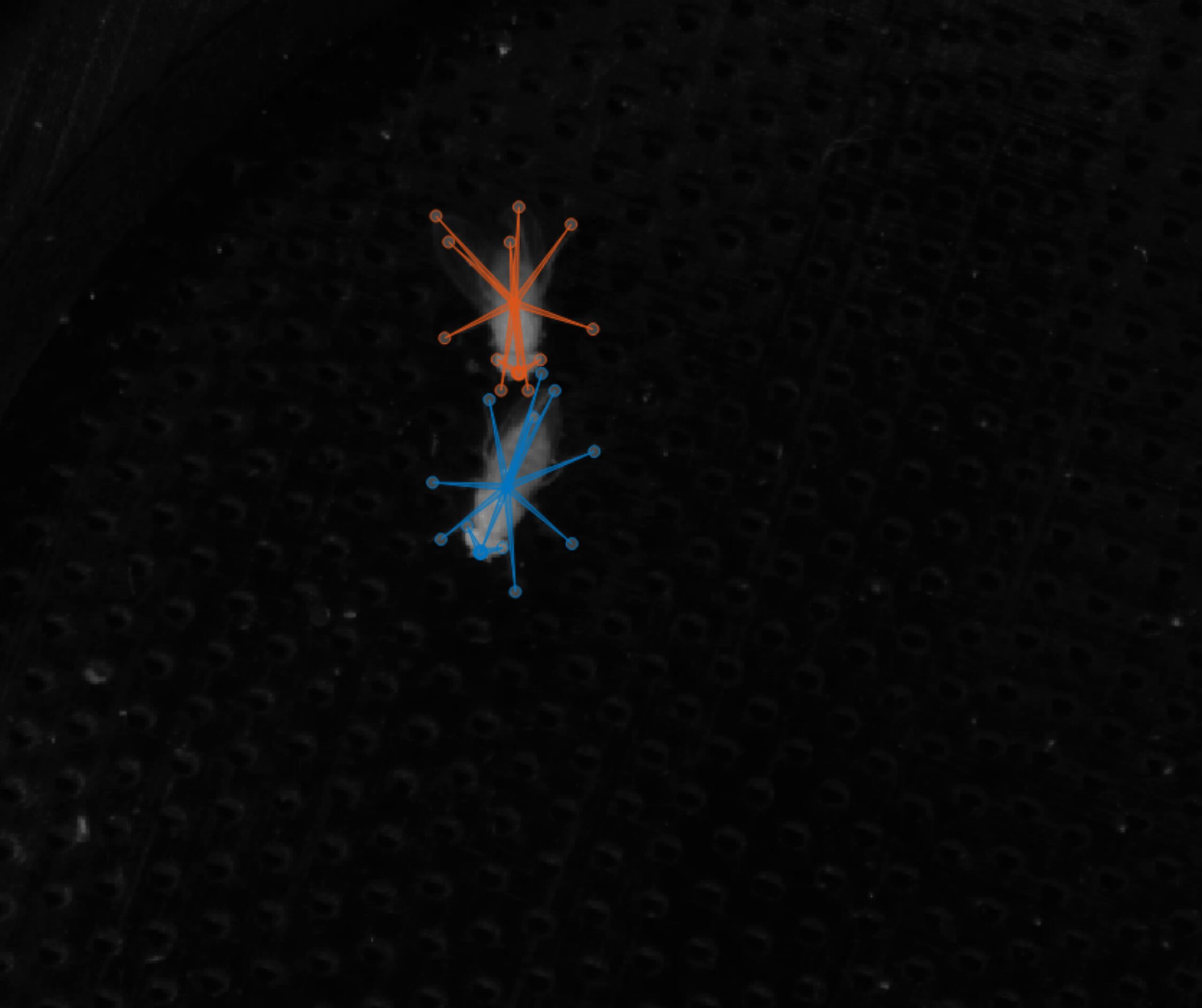 Soziale Erfahrungen prägen das Verhalten