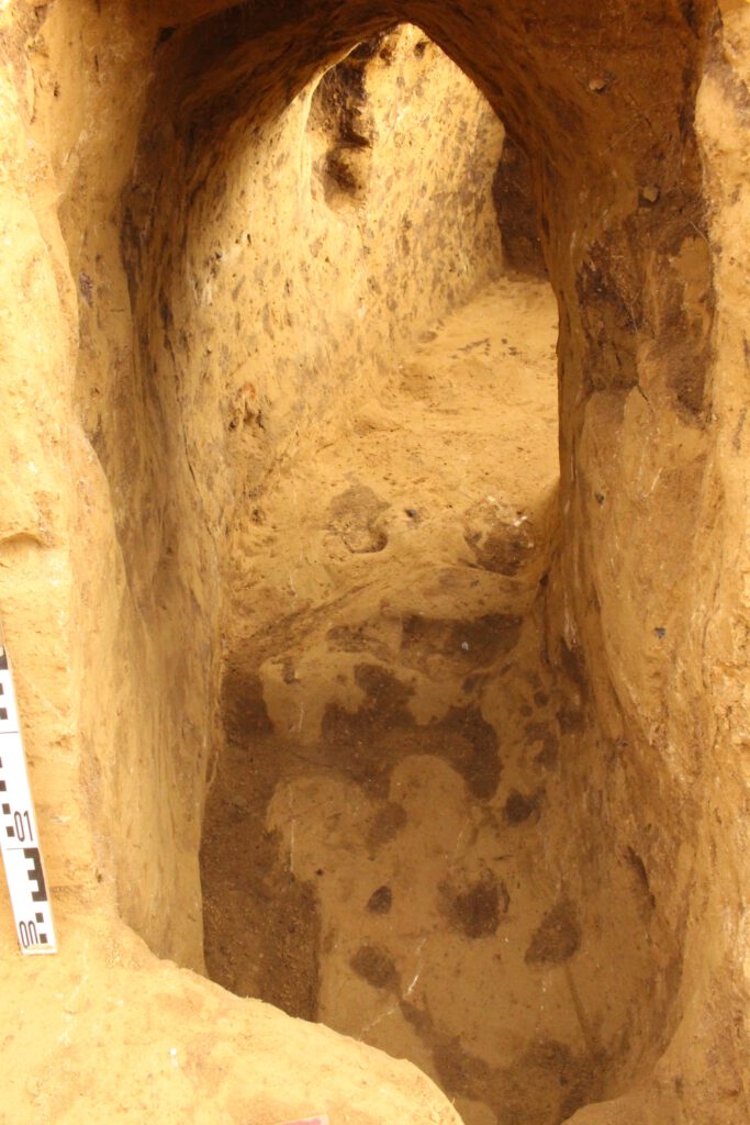 Vollständig freigelegter Gang des Erdstalls mit Spitzgiebel und kleiner Nische in der Wandung. Ganghöhe um einen Meter, Breite 50 bis 70 Zentimeter. Quelle: Ulf Petzschmann. Copyright: Landesamt für Denkmalpflege und Archäologie Sachsen-Anhalt