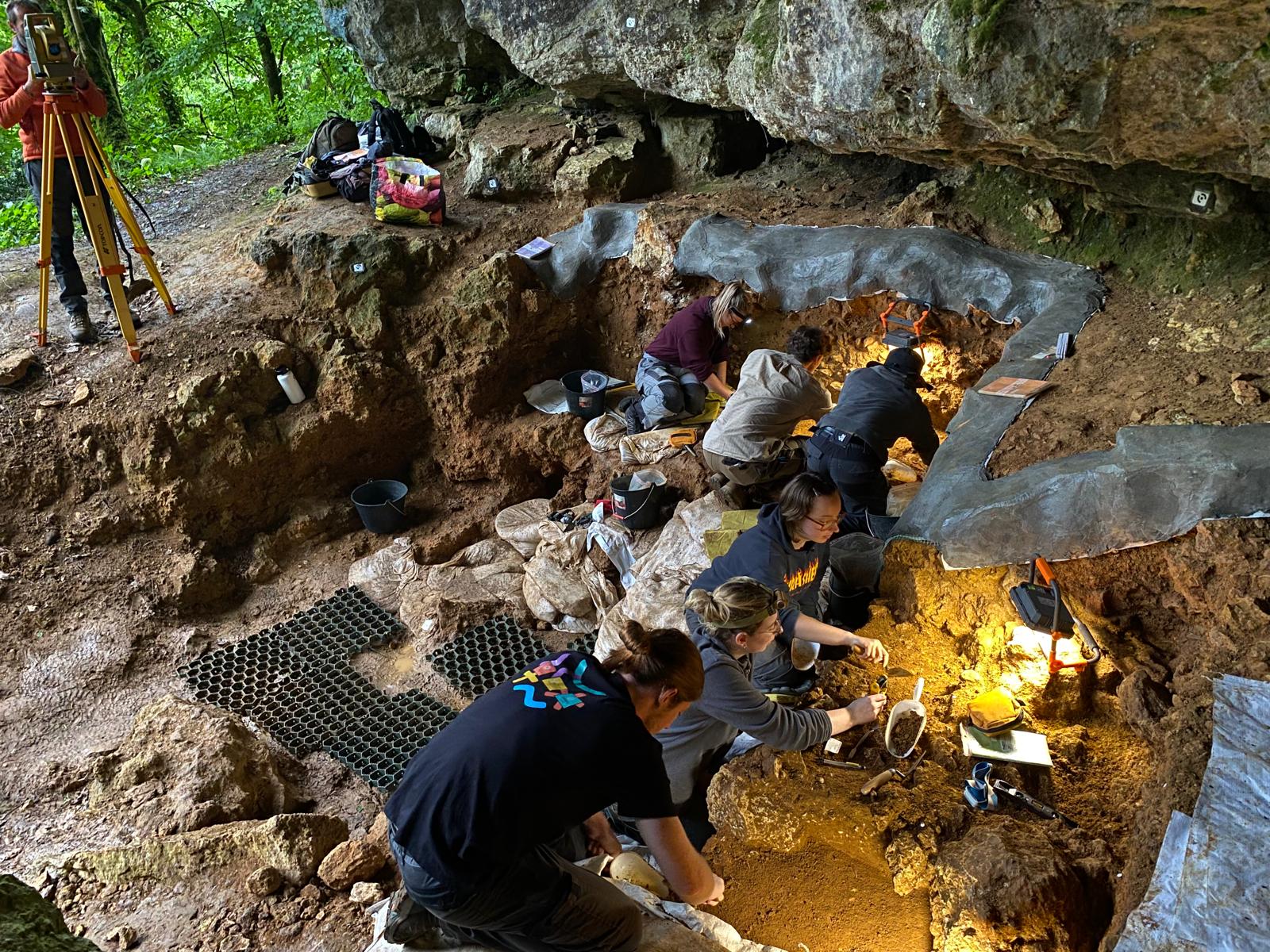 Späte Neandertaler in Europa gehen auf eine einzelne Gruppe zurück