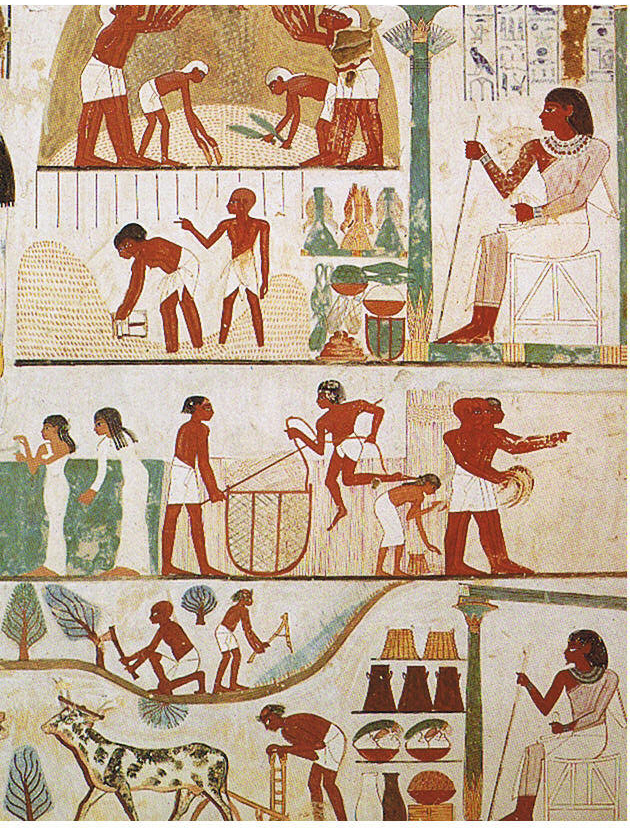 Quelle Wikipdia
Wandgemälde aus der 18. Dynastie (15. Jahrhundert v. Chr.). Von Norman de Garis Davies, Nina Davies (2-dimensional 1 to 1 Copy of an 15th century BC Picture) - Matthias Seidel, Abdel Ghaffar Shedid: Das Grab des Nacht. Kunst und Geschichte eines Beamtengrabes der 18. Dynastie in Theben-West, von Zabern, Mainz 1991 ISBN 3805313322, Gemeinfrei, https://commons.wikimedia.org/w/index.php?curid=2416357 