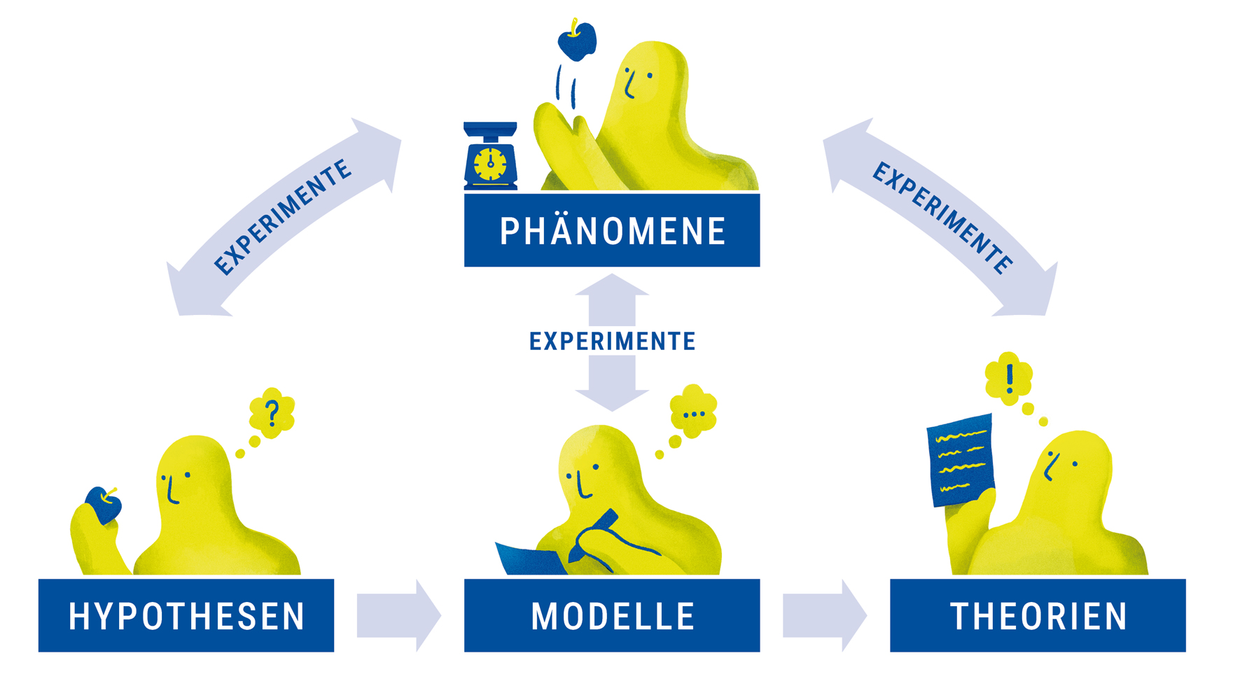Hypothesen werden zu Modellen weiterentwickelt und münden schließlich in abgeschlossene und in sich konsistente Theorien. Auf jeder Stufe der Beschreibung der Natur werden alle Aussagen experimentell getestet. Copyright: © DPG / Gehlen