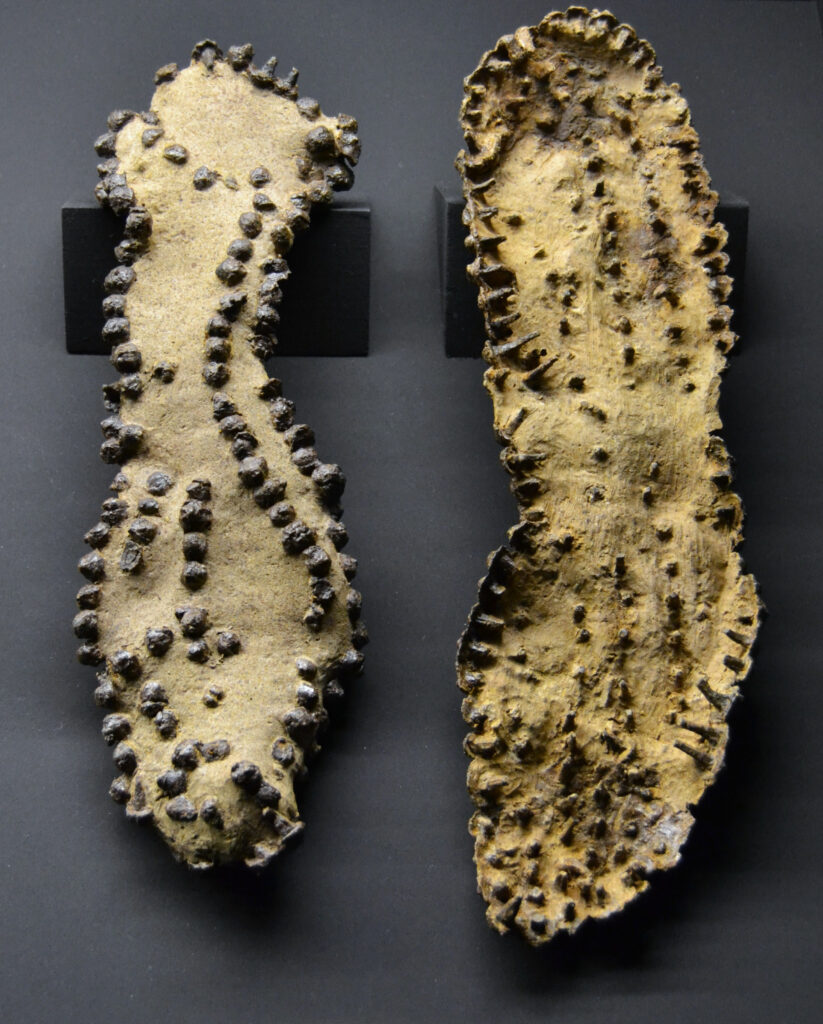 Caligasohle von Römischen Sandalen 
Parell_de_soles_de_sandàmlies_(caligae),_necròpolis_de_l'Albir,_Museu_Arqueològic_d'Alacant
Ober- und Unterseite von Caligasohlen (Archäologisches Museum Alicante)
Von Joanbanjo - Eigenes Werk, CC BY-SA 3.0, https://commons.wikimedia.org/w/index.php?curid=30091359