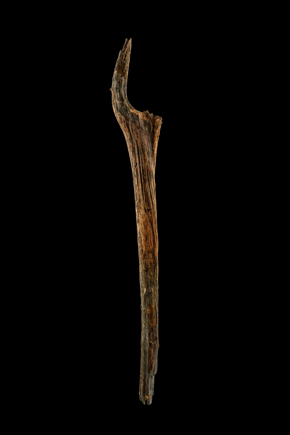 Spuren von Sesshaftwerdung